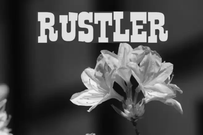 Rustler Font examples