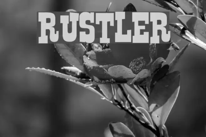 Rustler Font examples