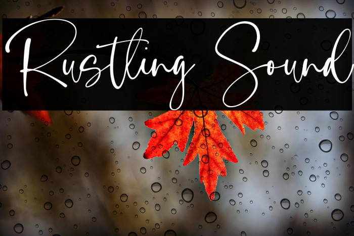 Rustling Sound Example 2