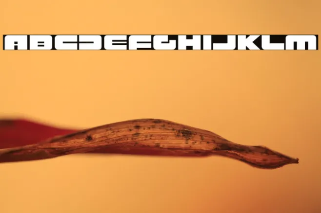 RustproofBody-Regular Example 1