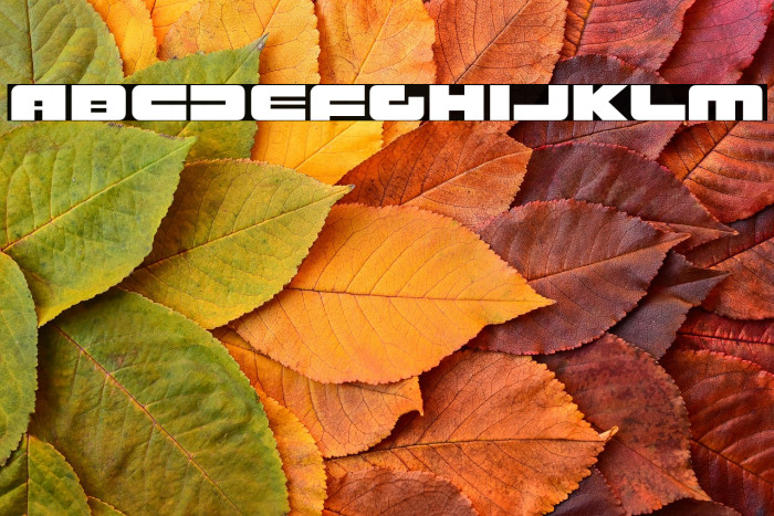 RustproofBody-Regular Example 2