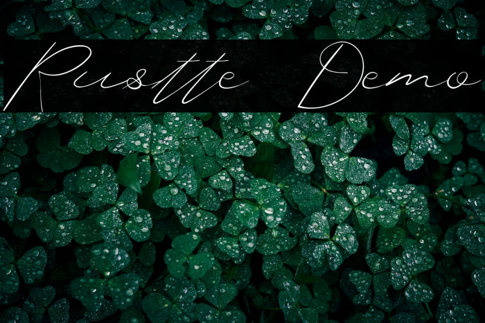 Rustte Demo Example 1