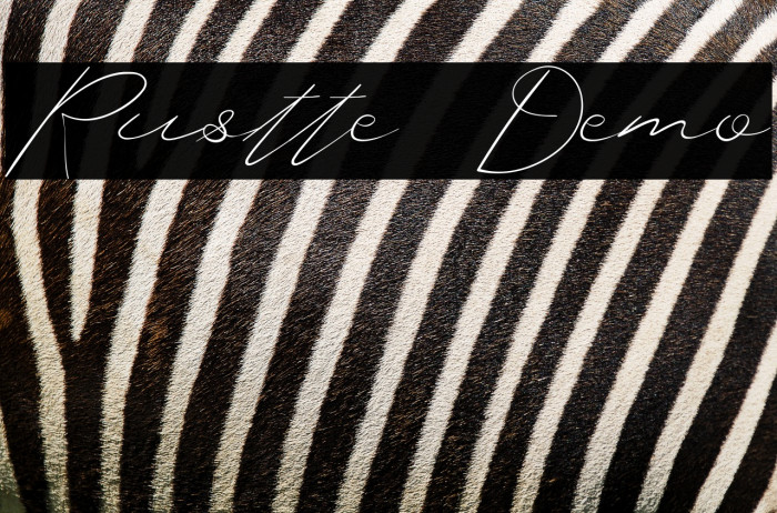 Rustte Demo Example 3