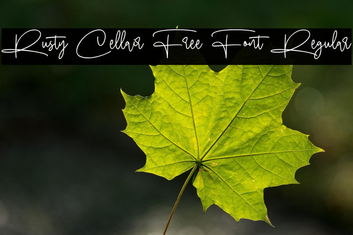 Rusty Cellair Free Font Regular Example 1
