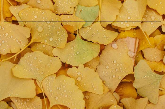 Rusty Fever_Condensed Regular Example 3