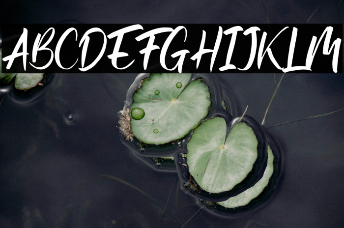 Rusty Frozee Example 1