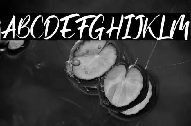 Rusty Frozee Font examples