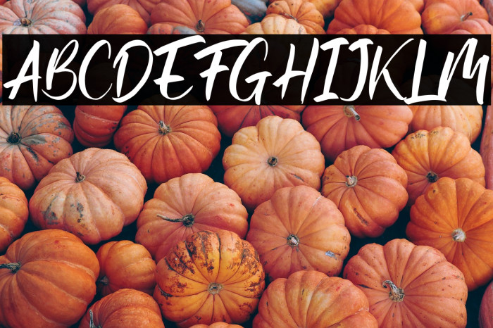 Rusty Frozee Example 3