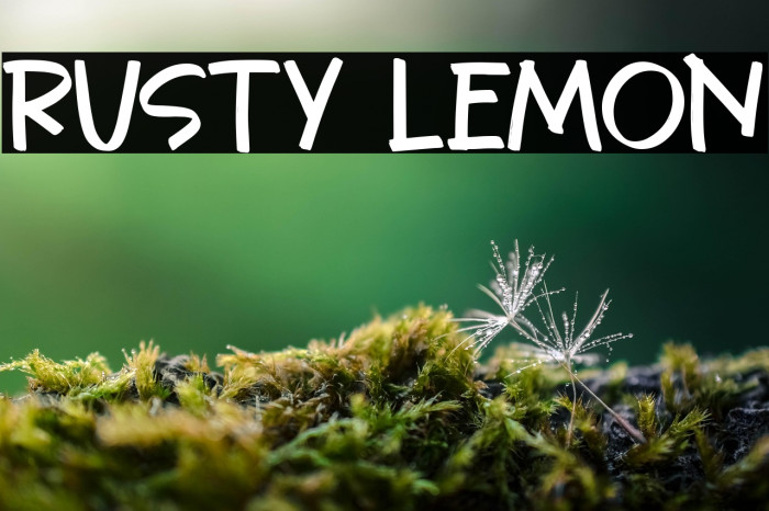 Rusty Lemon Example 2