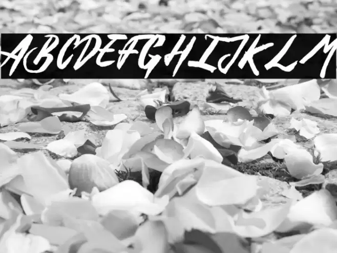 Rusty&Gosh_PersonalUseOnly Font examples