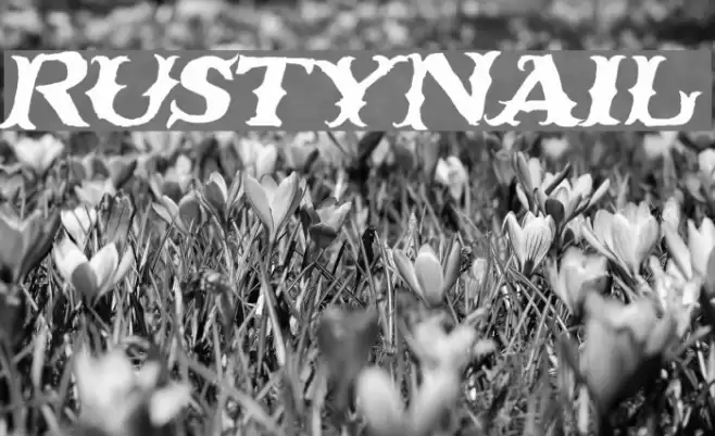 RustyNail Font examples