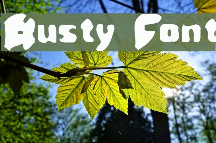 Rusty Polices examples