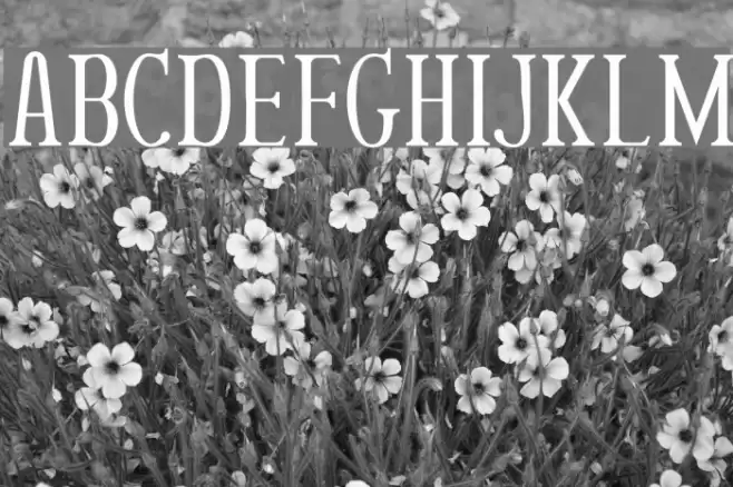 Rutaban Normal Polices examples