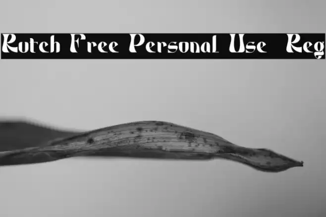 Rutch Free Personal Use Reg Font examples