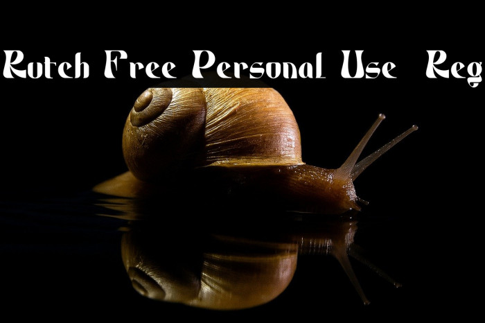 Rutch Free Personal Use  Reg Example 3