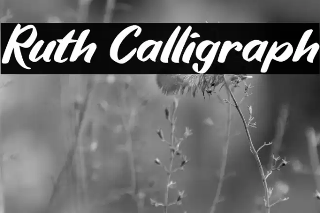 Ruth Calligraph Schriftart examples
