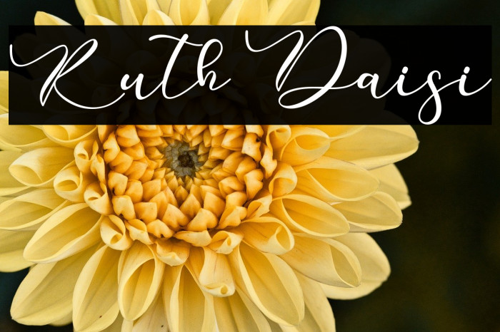 Ruth Daisi Example 1