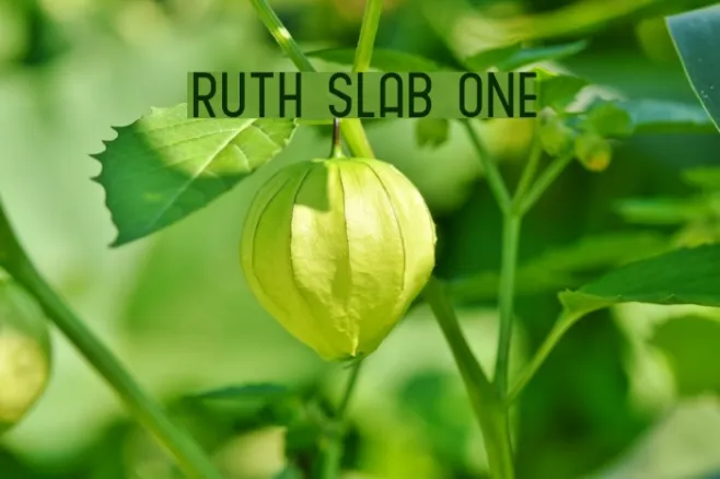 Ruth Slab One Example 2