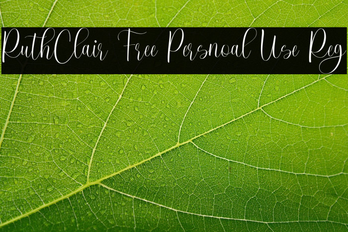RuthClair Free Persnoal Use Reg Example 3