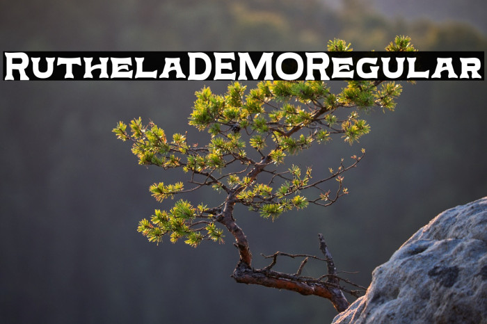 Ruthela DEMO Regular Example 3