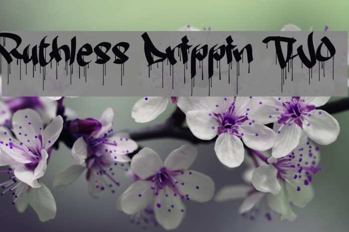 Ruthless Drippin TWO Font examples
