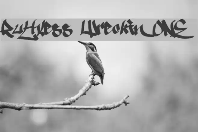 Ruthless Wreckin ONE Font examples