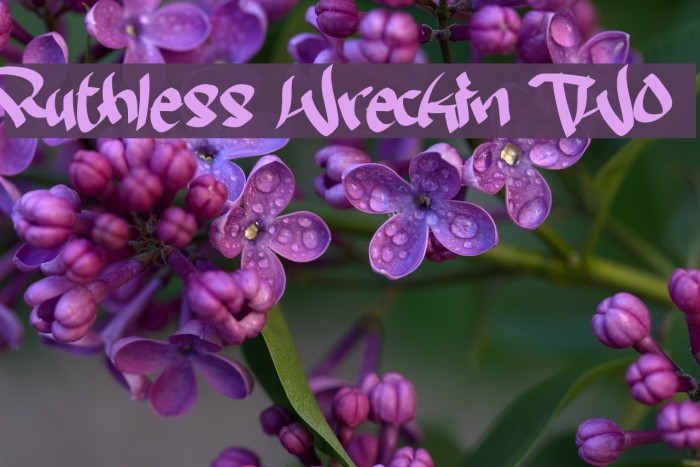 Ruthless Wreckin TWO Example 3