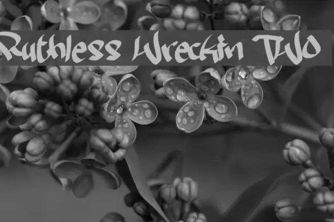 Ruthless Wreckin TWO Font examples