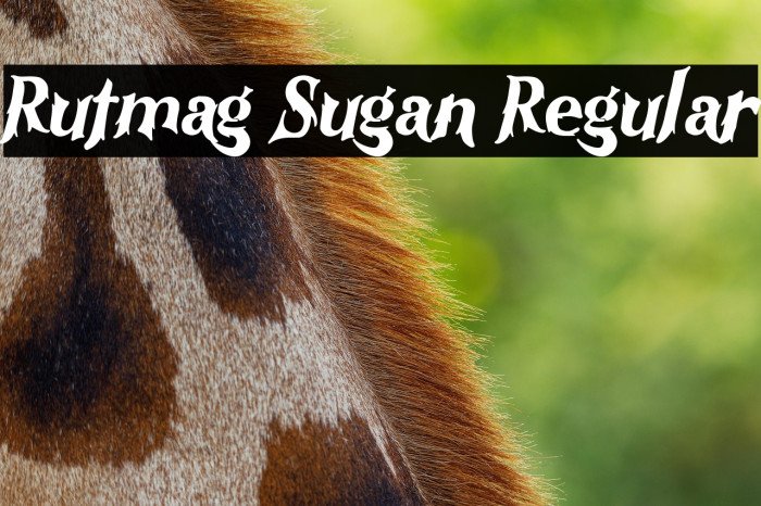 Rutmag Sugan Regular Example 1