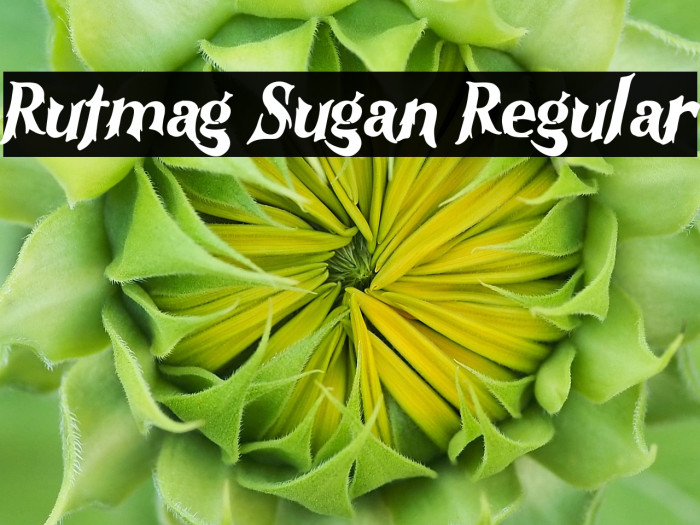Rutmag Sugan Regular Example 2