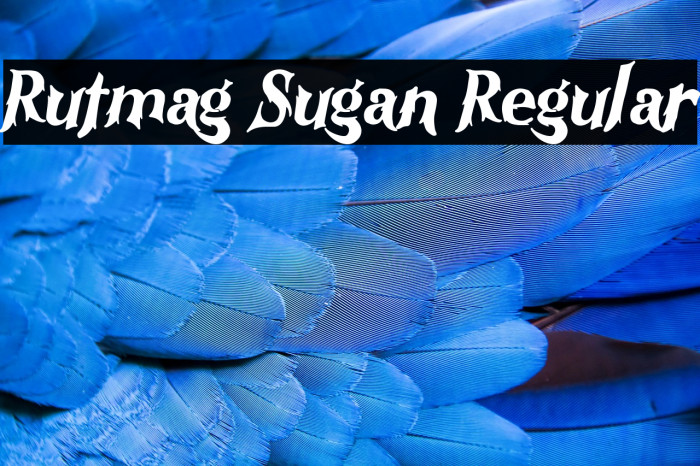 Rutmag Sugan Regular Example 3