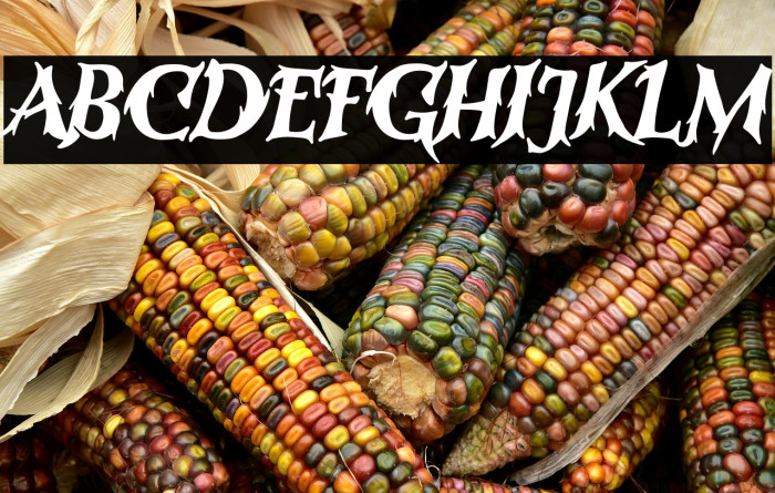 RutmagSugan-Regular Example 2