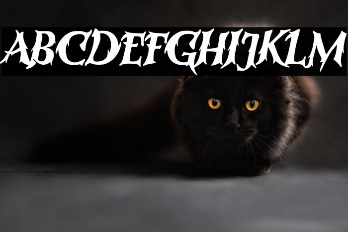 RutmagSugan-Regular Example 3