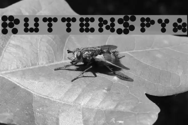 RuttenSpya Font examples