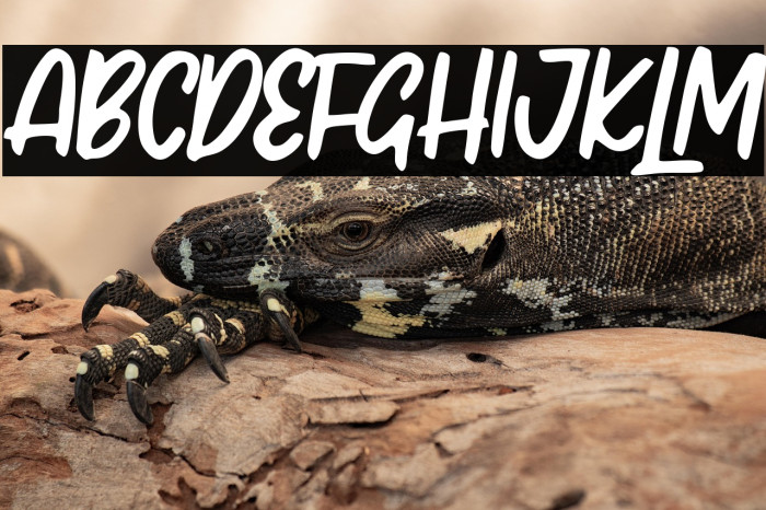 Rutthers Goals Example 1