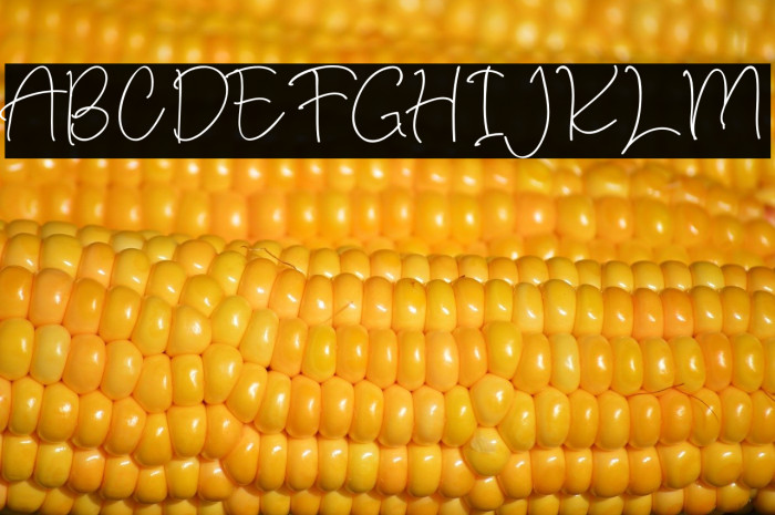 russian roullette Example 2