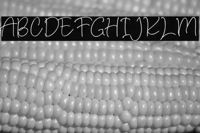 russian roullette Caratteri examples