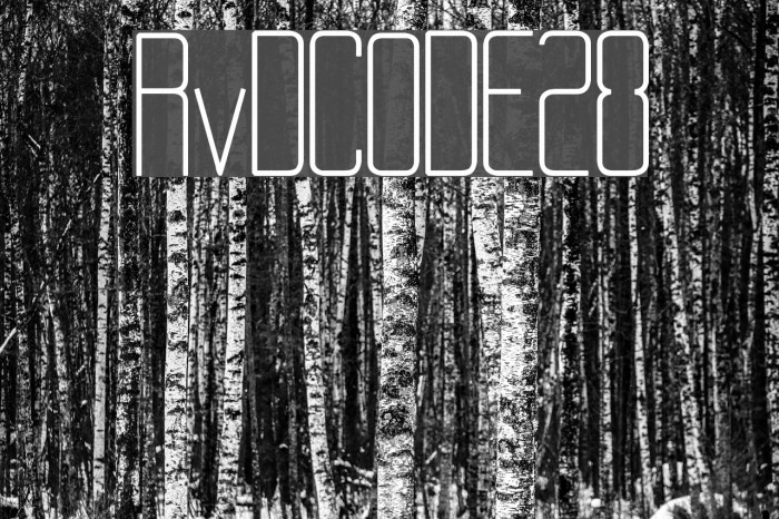 RvD_CODE28 字体 examples