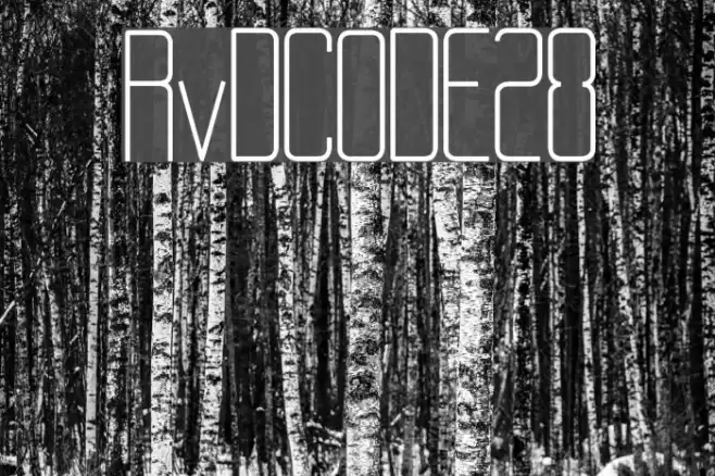 RvD_CODE28 Schriftart examples