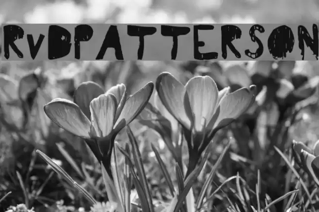 RvD_PATTERSON Font examples