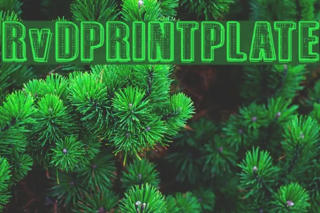 RvD_PRINTPLATE Example 1