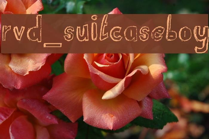 RvD_SUITCASEBOY Font examples