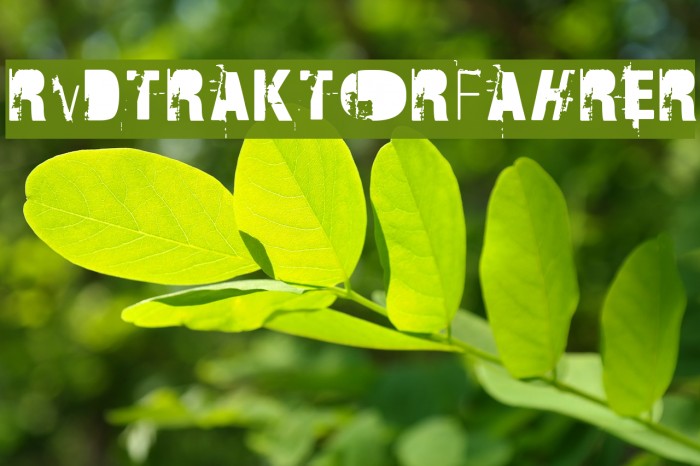 RvD_TRAKTORFAHRER Font examples