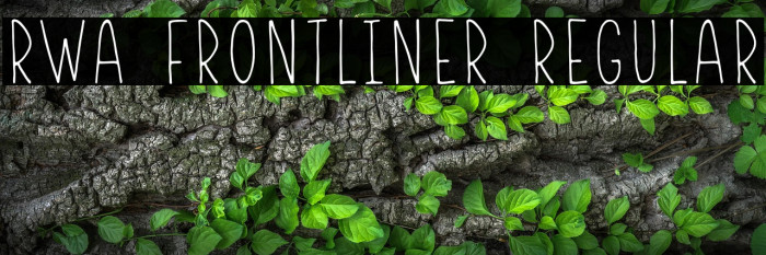 RWA Frontliner Regular Example 2