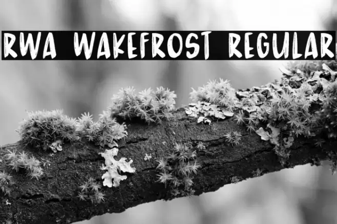 RWA Wakefrost Regular Font examples