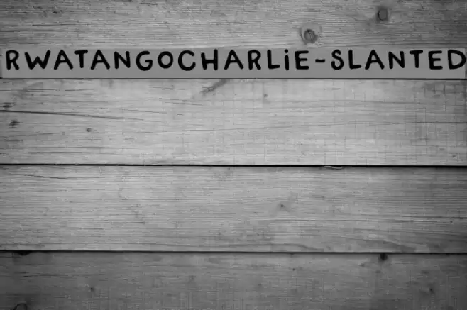 RWATangoCharlie-Slanted Polices examples