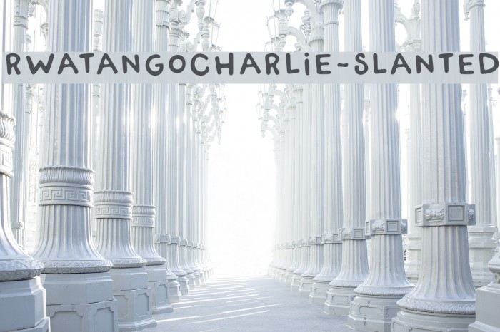 RWATangoCharlie-Slanted Polices examples