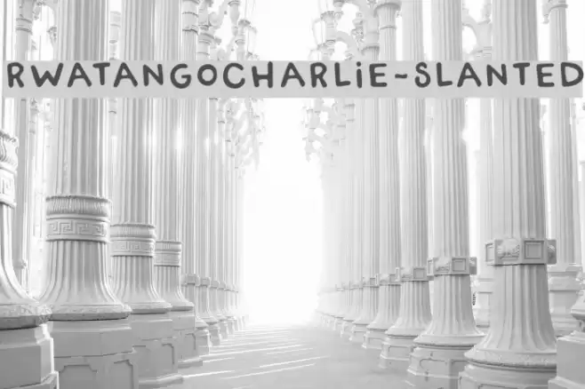 RWATangoCharlie-Slanted Polices examples