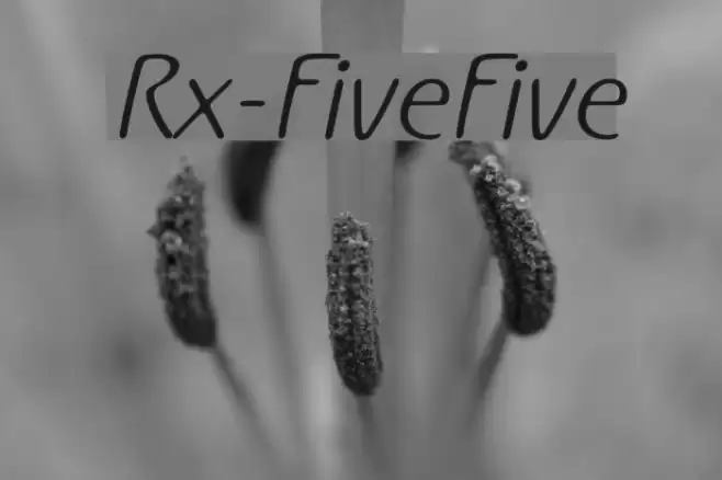 Rx-FiveFive Fonte examples