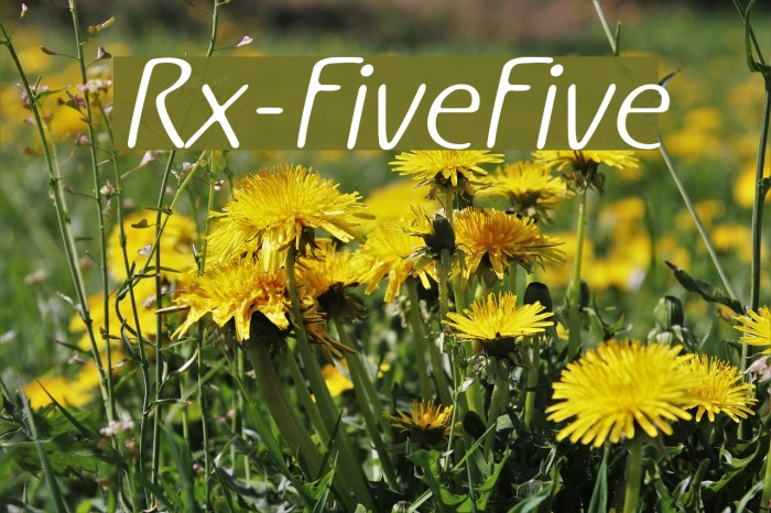 Rx-FiveFive Fonte examples